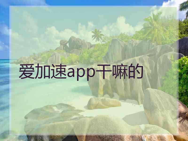 爱加速app干嘛的