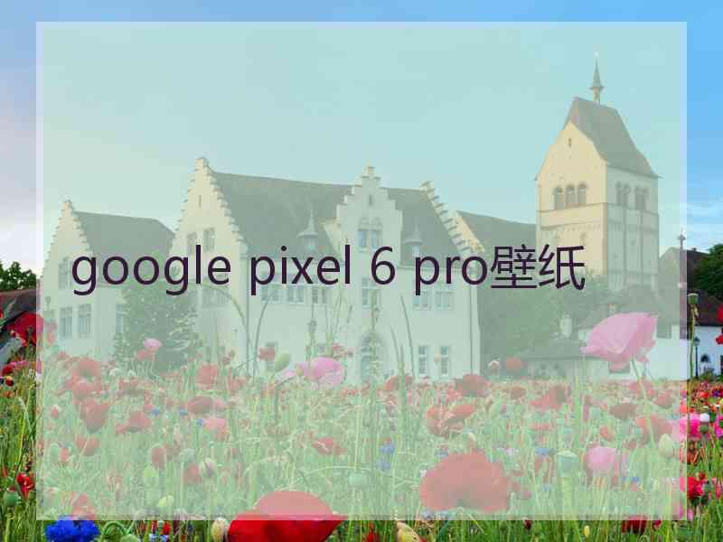 google pixel 6 pro壁纸