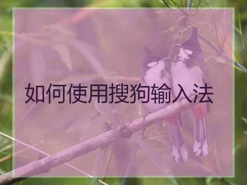 如何使用搜狗输入法