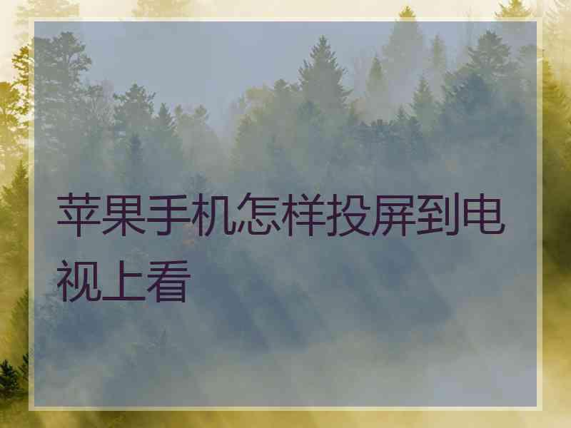 苹果手机怎样投屏到电视上看