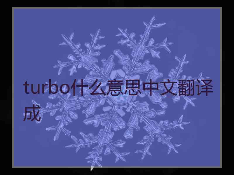 turbo什么意思中文翻译成