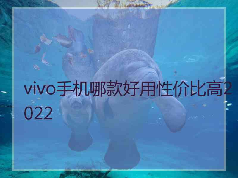 vivo手机哪款好用性价比高2022