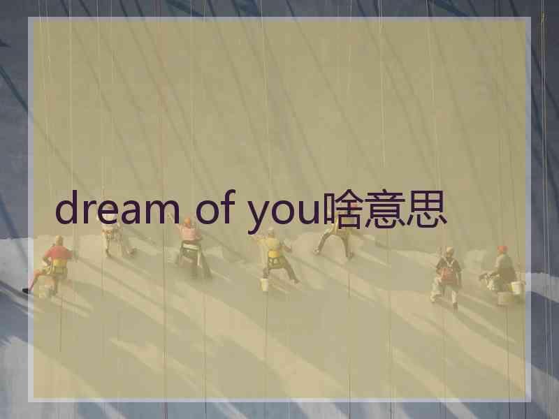 dream of you啥意思