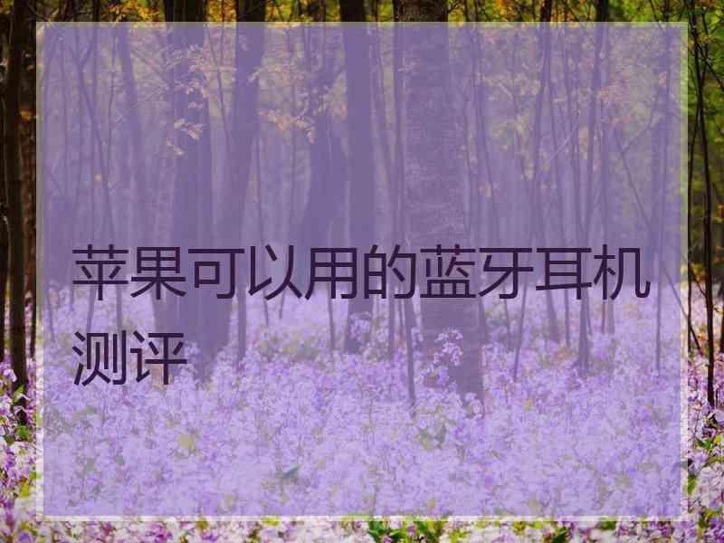 苹果可以用的蓝牙耳机测评