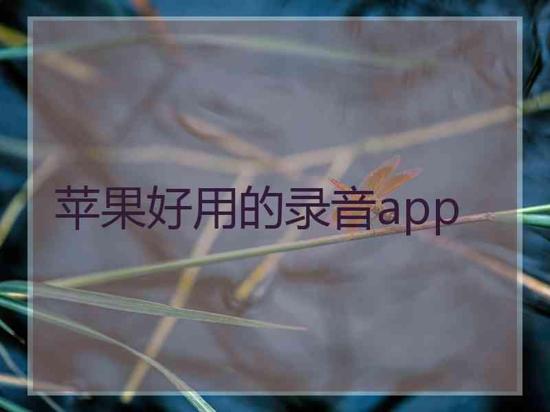 苹果好用的录音app