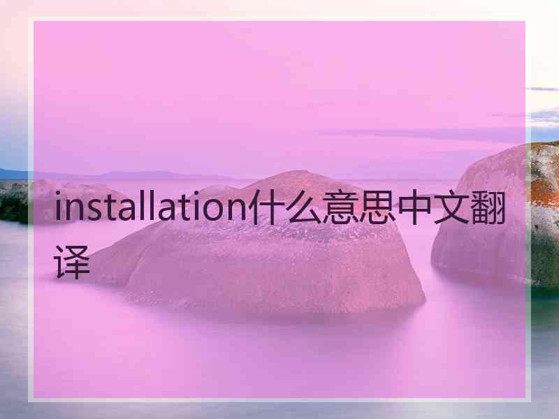 installation什么意思中文翻译