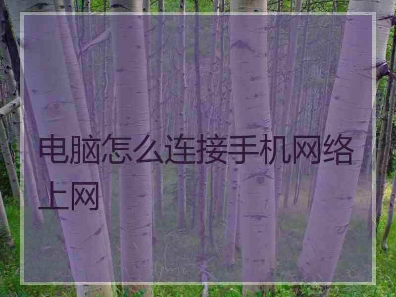 电脑怎么连接手机网络上网