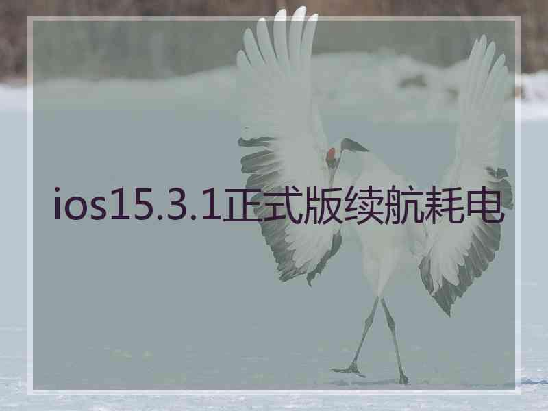 ios15.3.1正式版续航耗电