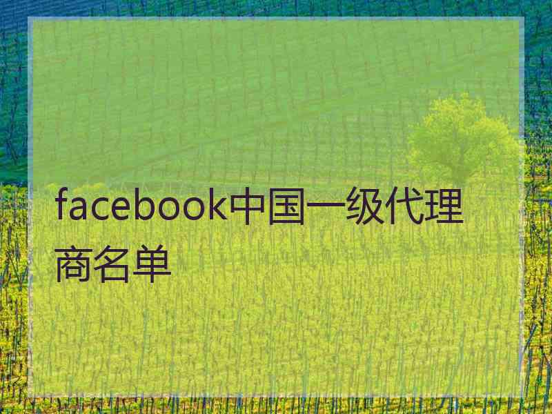 facebook中国一级代理商名单