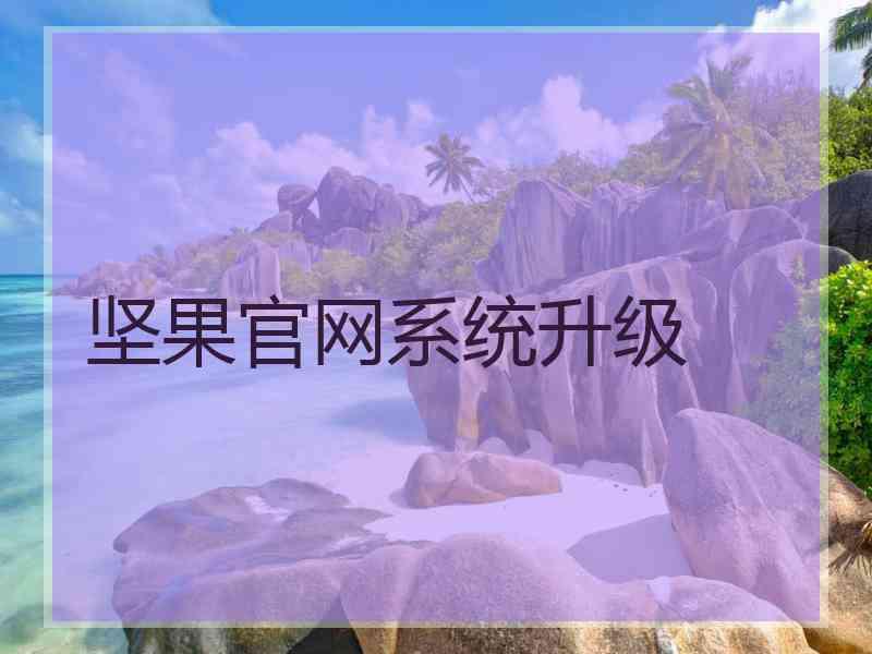 坚果官网系统升级