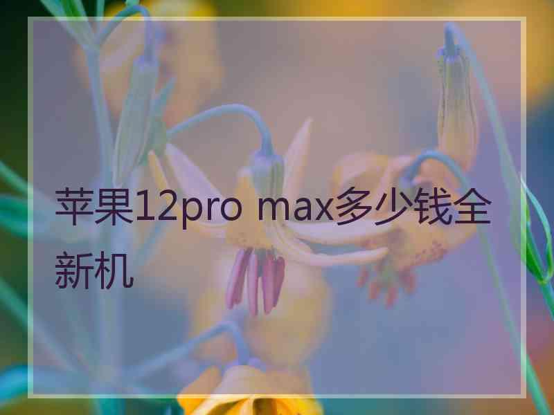 苹果12pro max多少钱全新机