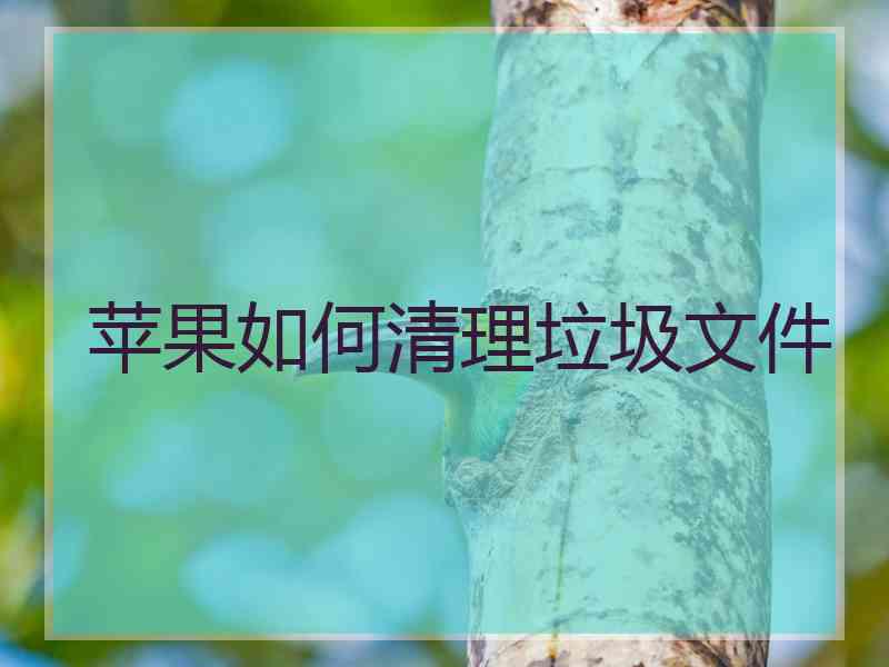 苹果如何清理垃圾文件