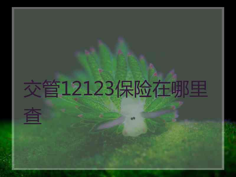 交管12123保险在哪里查