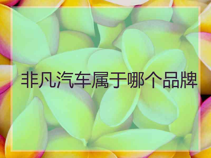 非凡汽车属于哪个品牌