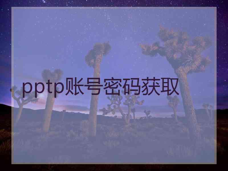 pptp账号密码获取