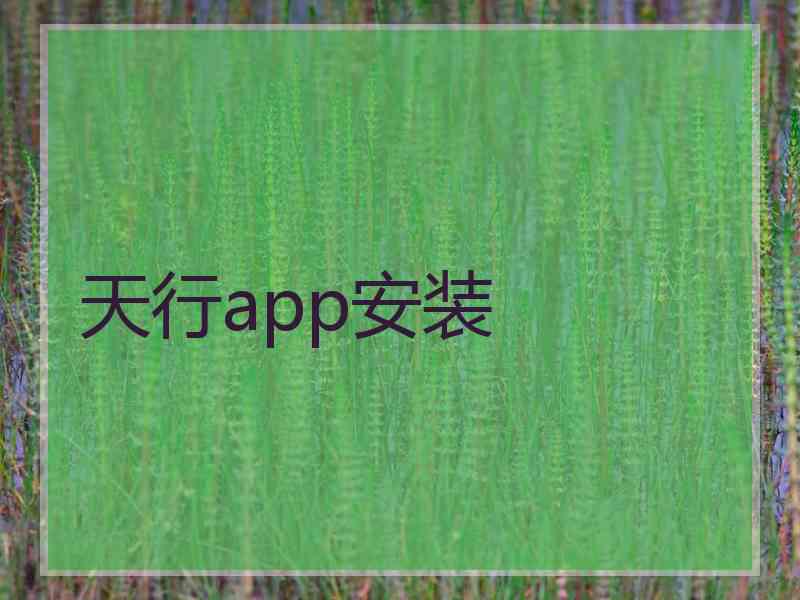 天行app安装