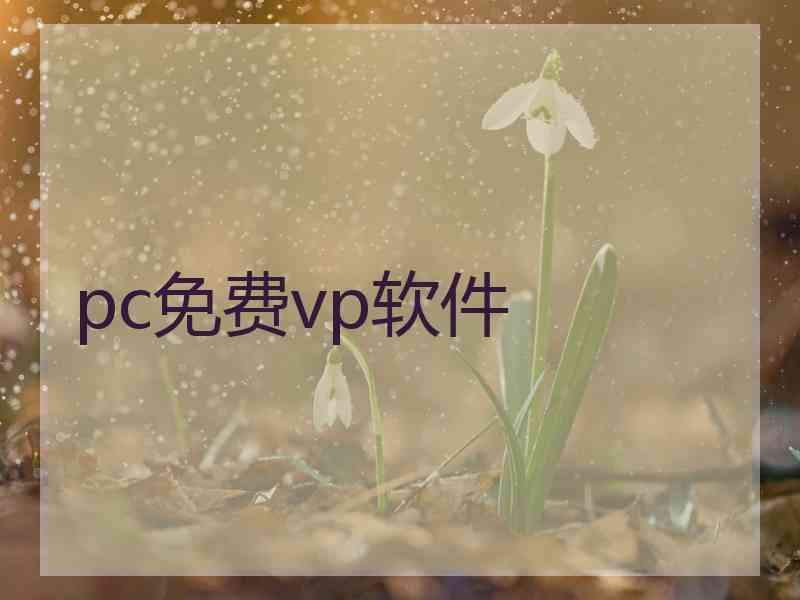 pc免费vp软件