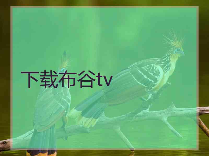 下载布谷tv