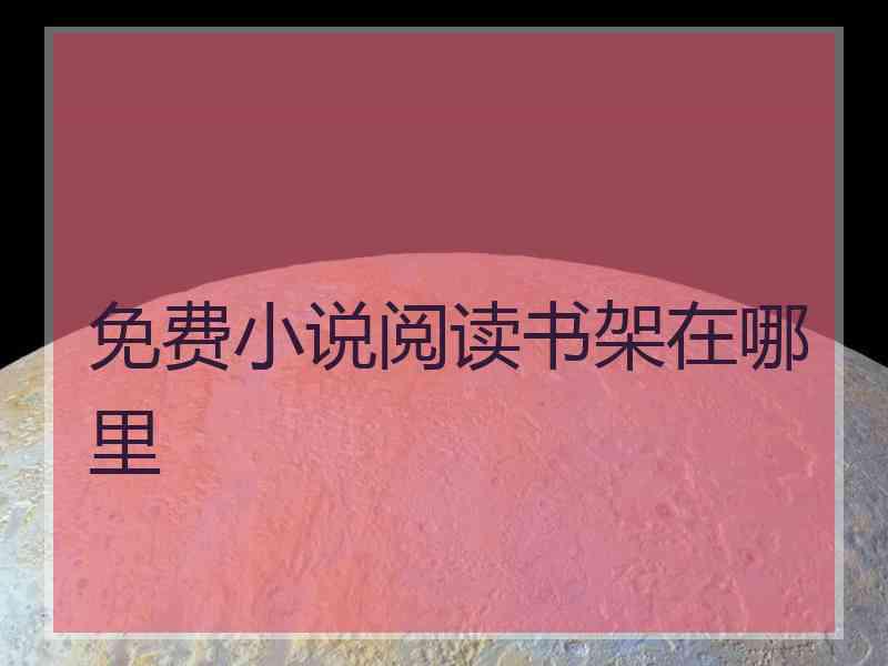 免费小说阅读书架在哪里