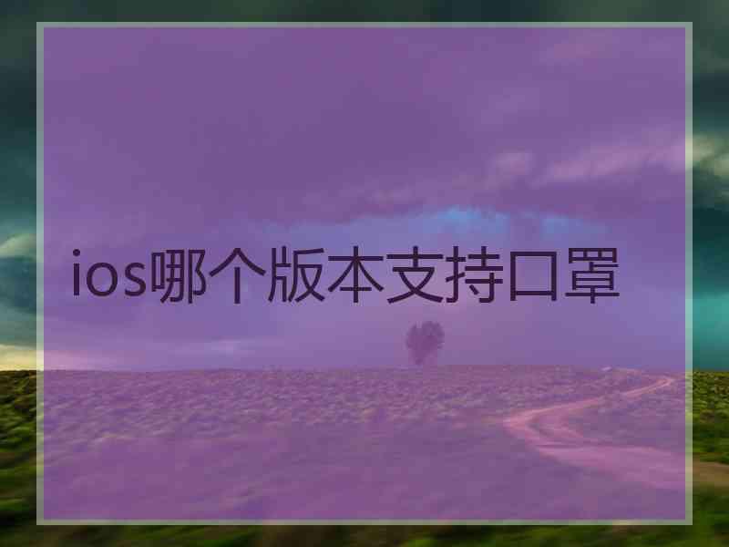 ios哪个版本支持口罩