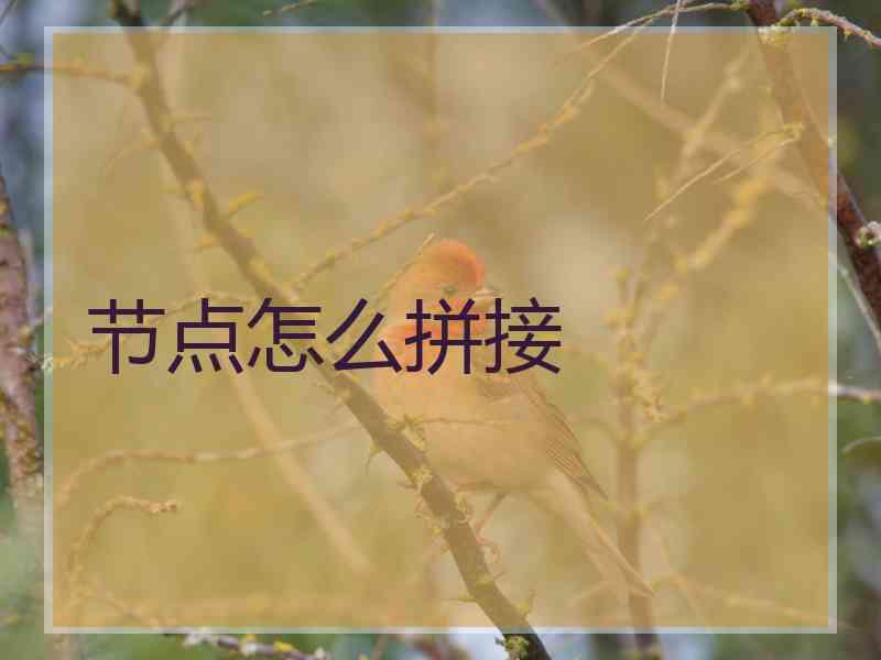 节点怎么拼接