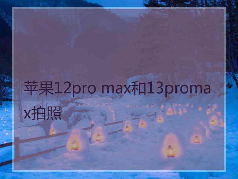 苹果12pro max和13promax拍照