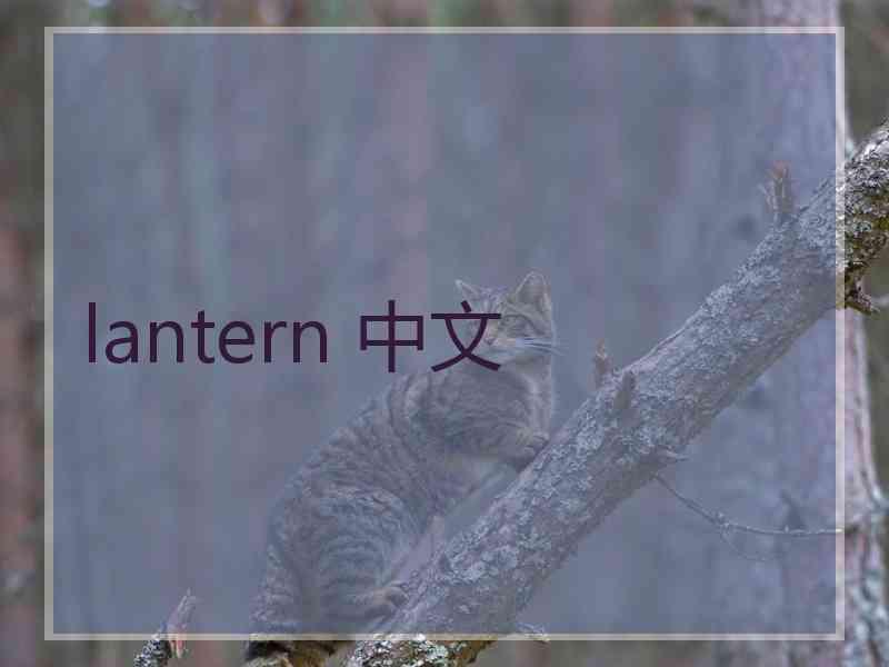 lantern 中文