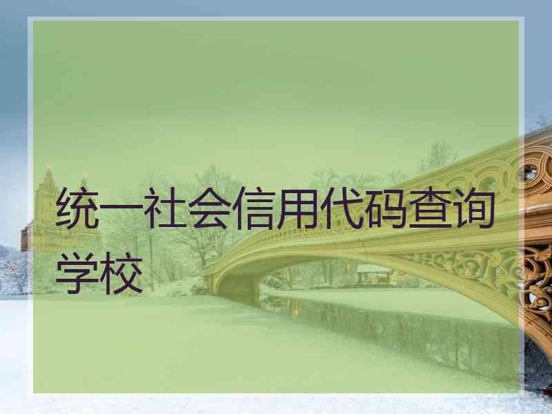 统一社会信用代码查询学校