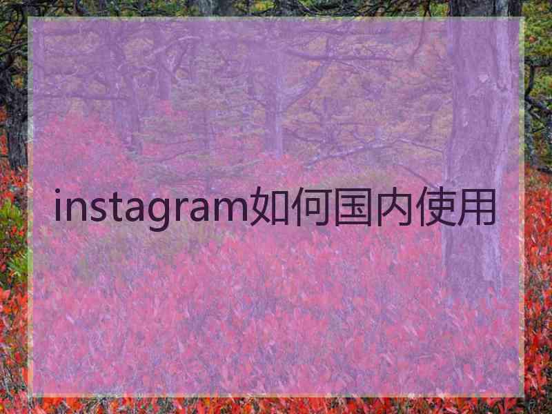 instagram如何国内使用