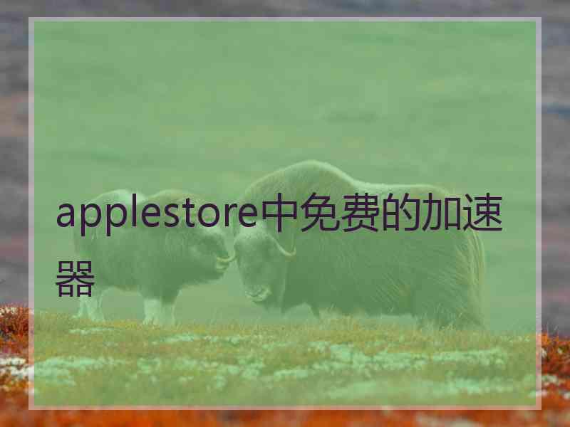 applestore中免费的加速器