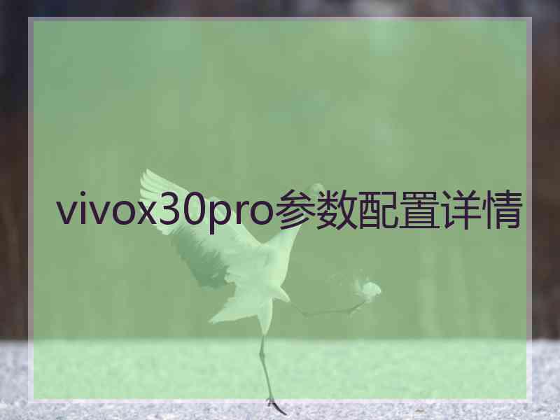 vivox30pro参数配置详情