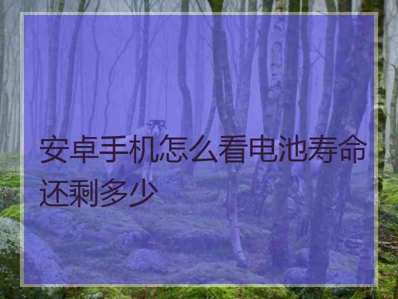 安卓手机怎么看电池寿命还剩多少