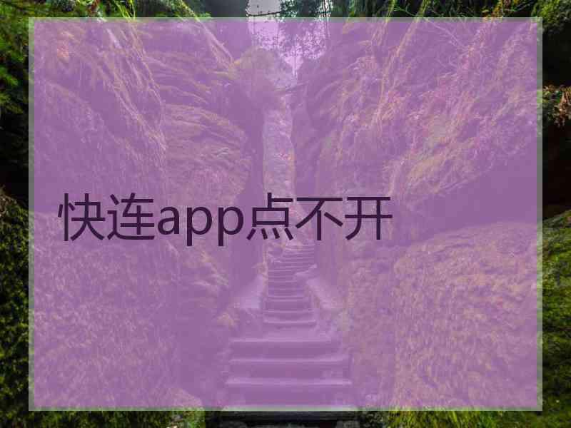 快连app点不开