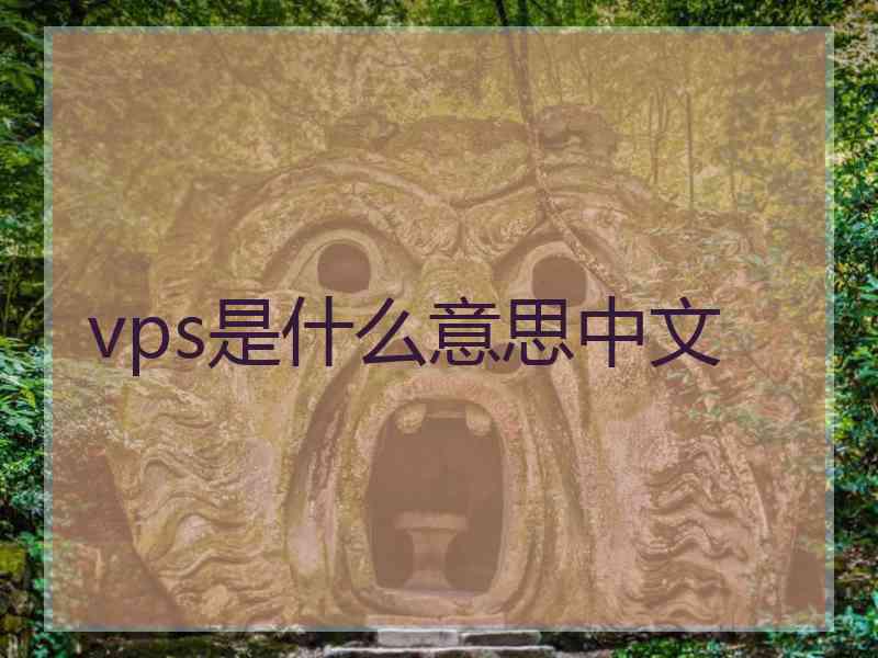 vps是什么意思中文