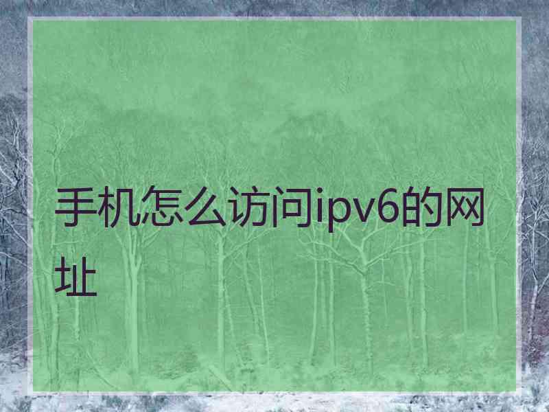 手机怎么访问ipv6的网址