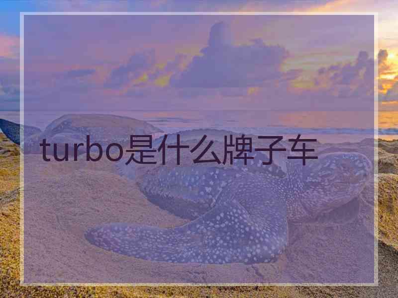 turbo是什么牌子车