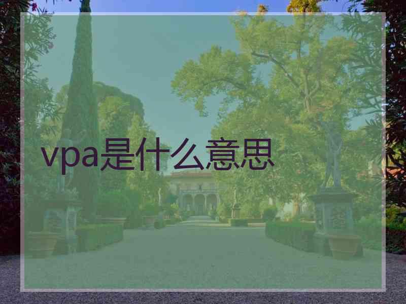 vpa是什么意思