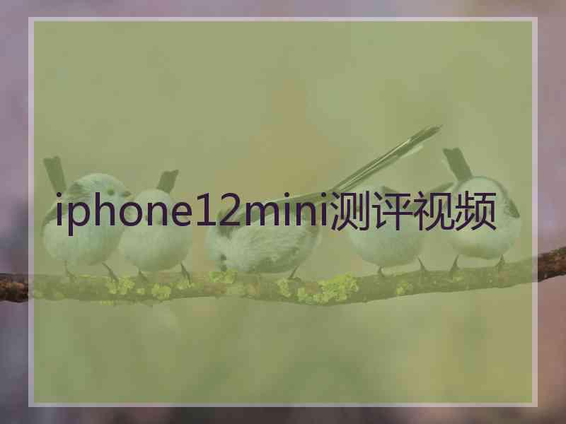 iphone12mini测评视频