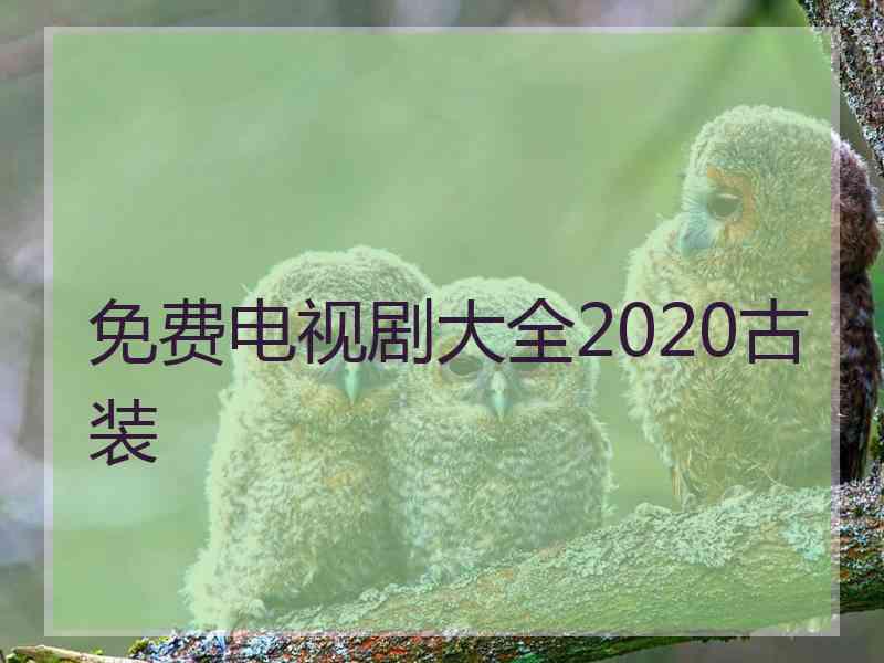 免费电视剧大全2020古装