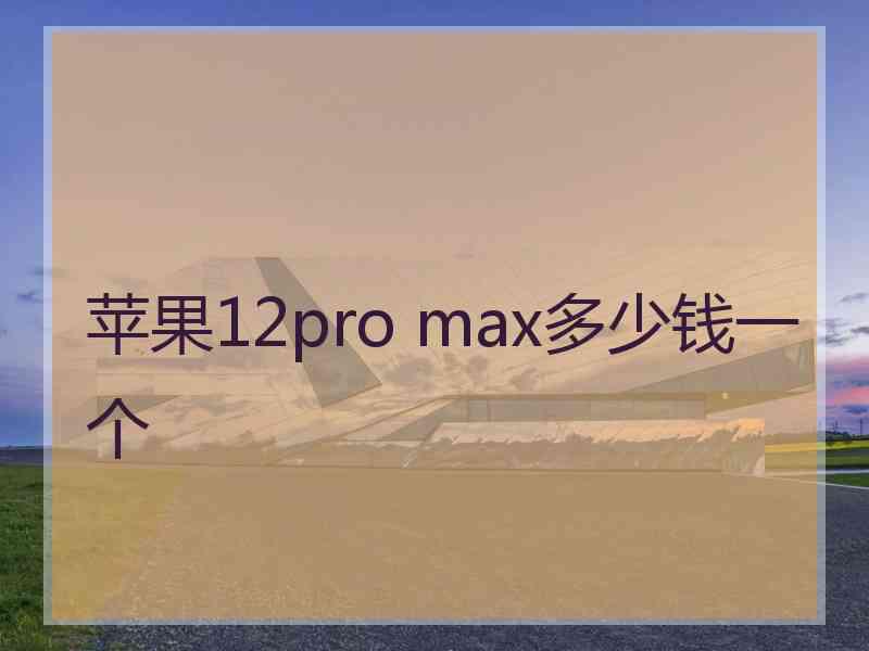 苹果12pro max多少钱一个