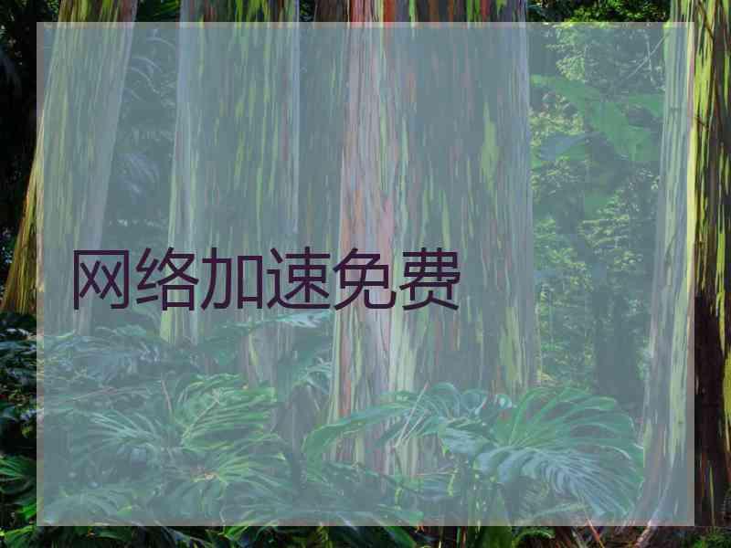 网络加速免费