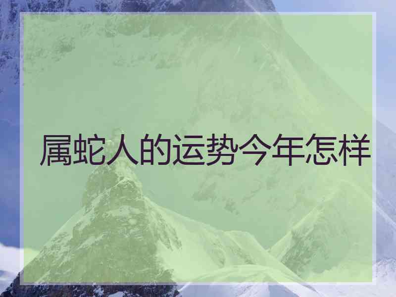 属蛇人的运势今年怎样