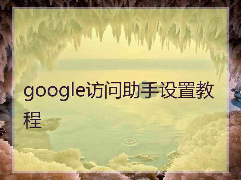 google访问助手设置教程