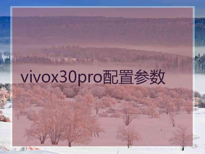 vivox30pro配置参数