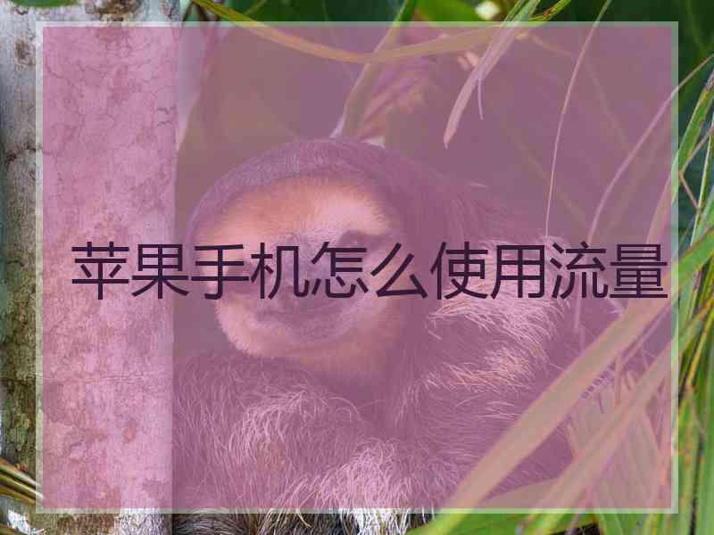 苹果手机怎么使用流量