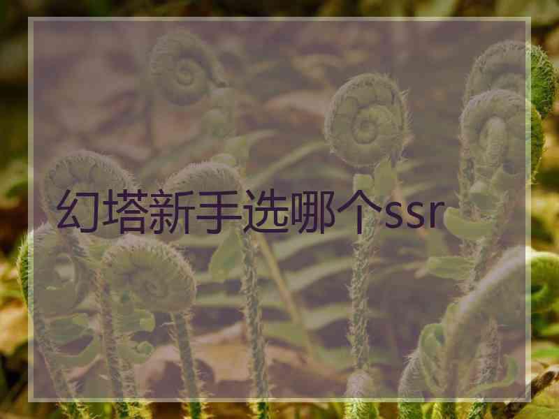 幻塔新手选哪个ssr