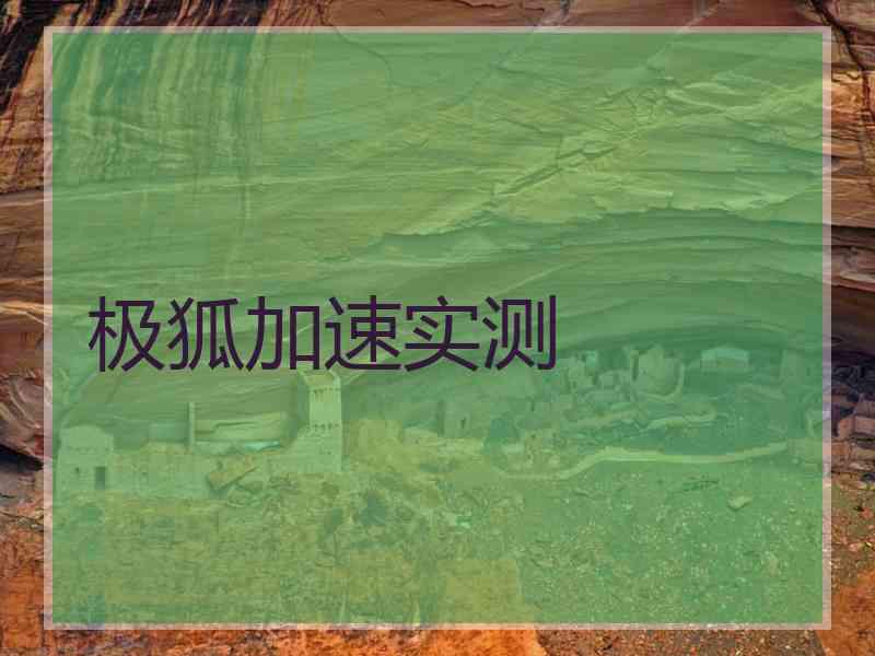 极狐加速实测