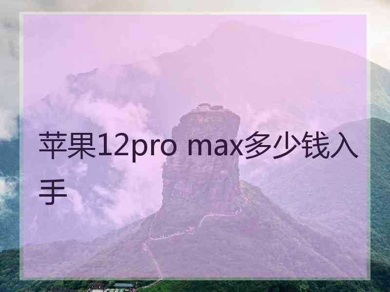 苹果12pro max多少钱入手