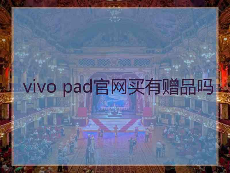 vivo pad官网买有赠品吗