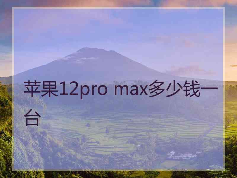 苹果12pro max多少钱一台